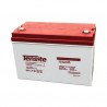 Batería AGM Tensite 12V 100Ah
